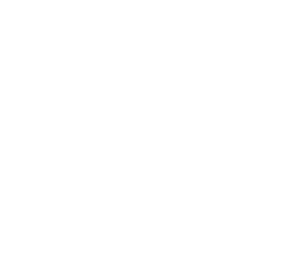 Veltris Group